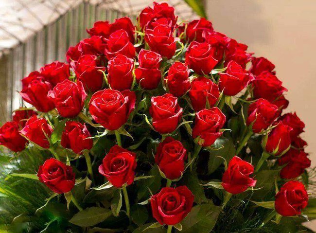 Dla naszej kawiarenki pod dębem