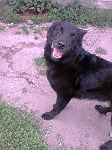 MOJE KOCHANE ZWIERZAKI :)