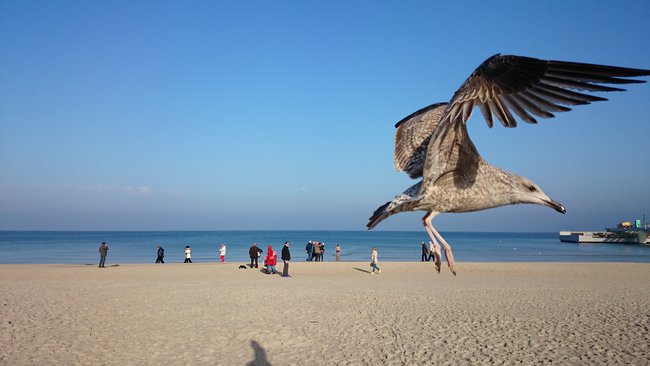 Walczyk w Kołobrzegu...