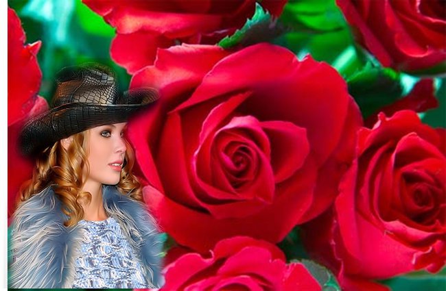 tysiąc czerwonych róż