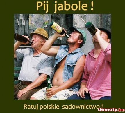 polska winem stoi