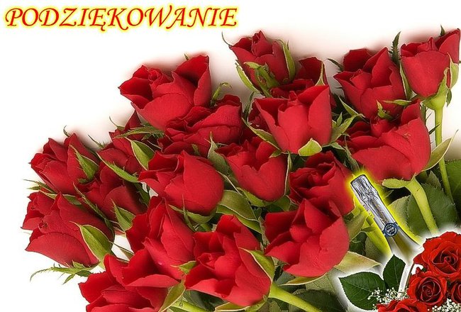 DZIĘKUJĘ ZA ŻYCZENIA URODZINOWE:) RENA