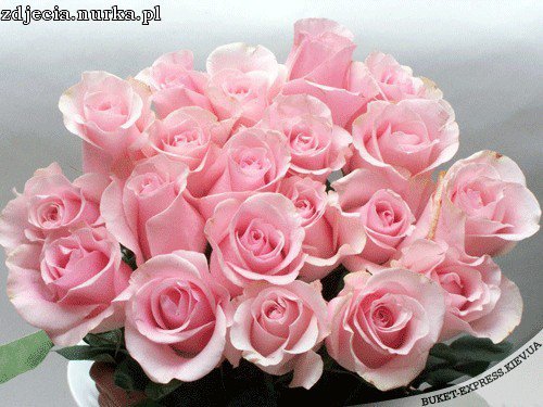 ŻYCZENIA URODZINOWE DLA BASI