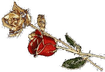 W dniu imienin...dla solenizantów z 21 listopada...