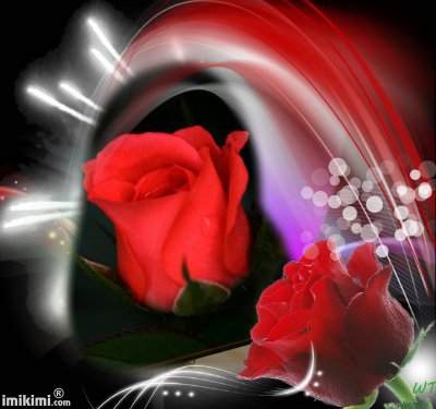 DLA  MILEGO  I  SWYMPATYCZNEGO  ZDZISIA   Z  NK  ;;;;