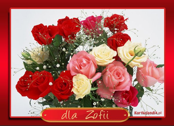 DLA ZOSI MOJEJ PRZYJACIOLKI