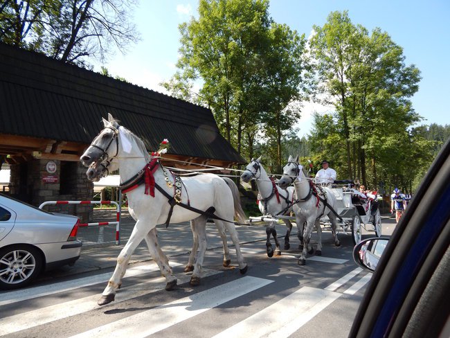 Zakopane- sierpien 2014.