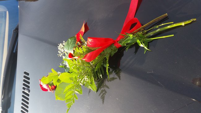 Dla Szefowej Bozenki:)