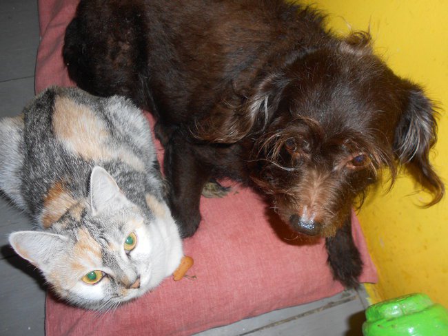 Moja  kochana  Fioneczka!!!!!