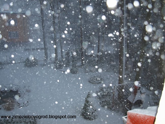 ZIMOWY SLAJDZIK
