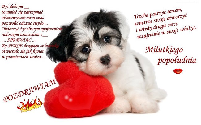 Wystarczy jedno słowo, aby szczęśliwym być****