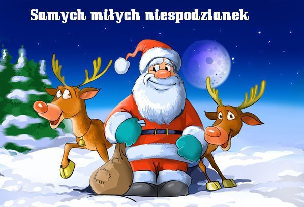 WESOŁCH ŚWIĄT BOŻEGO NARODZNIA I SZĘŚLIWEGO NOWEGO ROKU