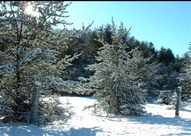 WESOŁYCH SWIAT ZTCZY MARIA