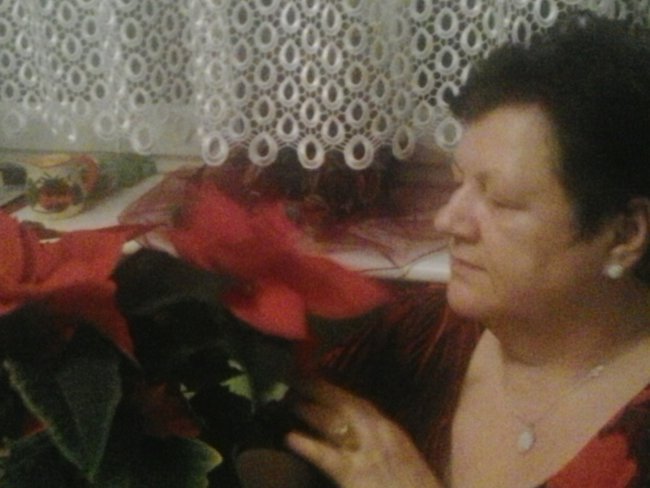 wesołych świąt składa Ela