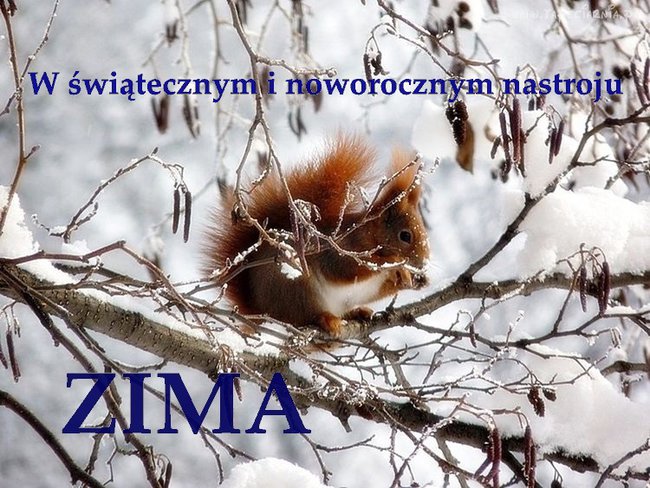 ZIMA