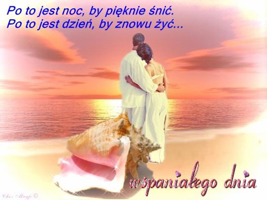 ---(Mam  tylko   jedno   serce)---slajdzik ten ofiaruje mojej miłej przyjaciółce-Anulce..