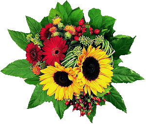 Dla Mireczki od Mirabelki