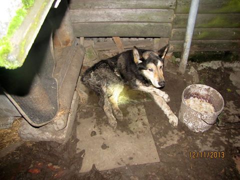 Pożegnanie Sylwestra