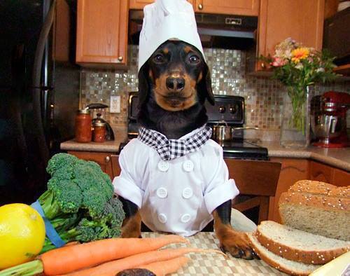 Nasze wspaniałe zwierzaczki