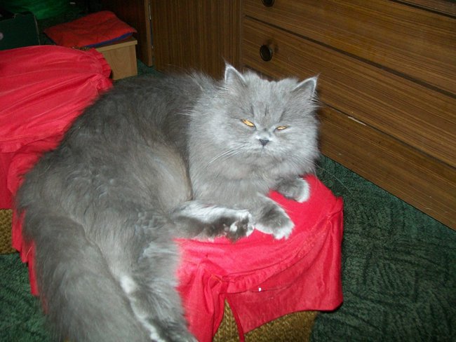 dla Przyjaciela BASIA