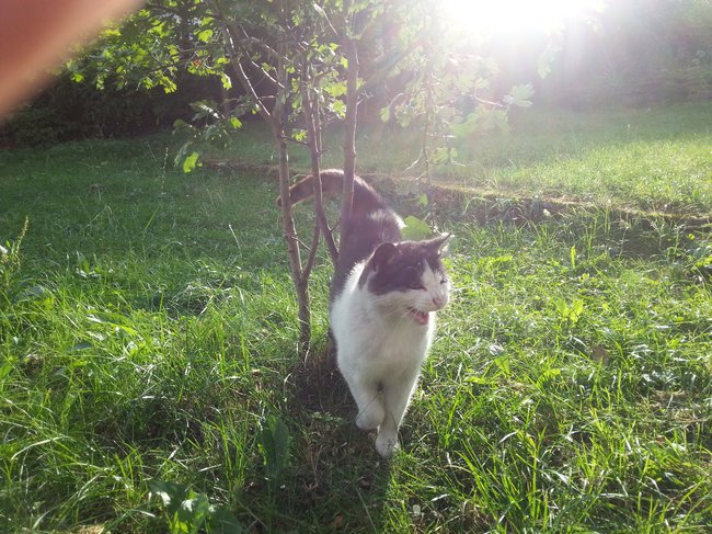 Cudowne lata..........