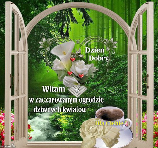 Wyczaruję dla Nas ogród... zaczarowany ogród