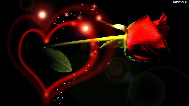 Z OKAZJI  URODZIN DANUSIU...