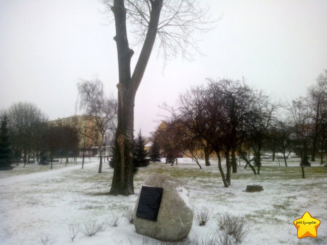 Śnieg w Radziejowie( 27.1.2015)