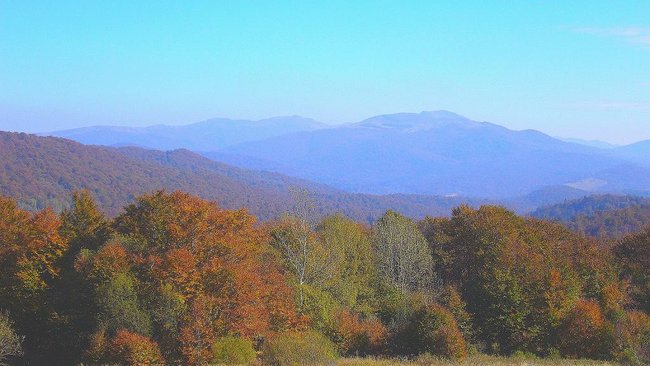 Moje Bieszczady