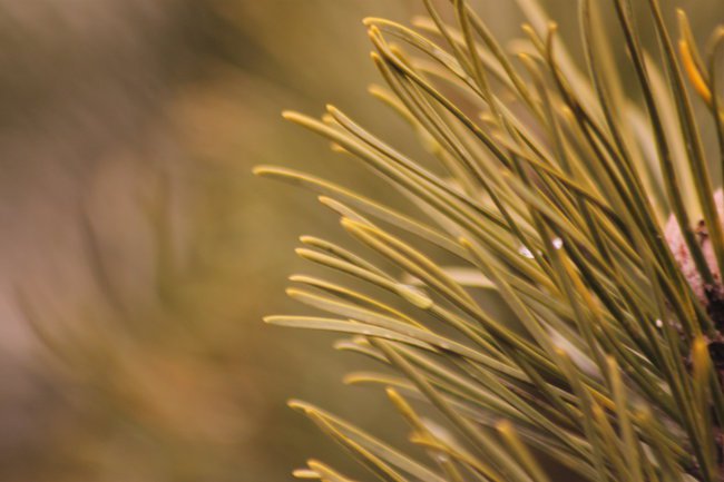 Moja pasja fotofamianfoto