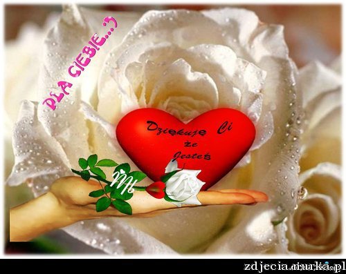 MIŁEJ SOBOTY DUŻO SŁONECZKA POZDRAWIAM MIRKA