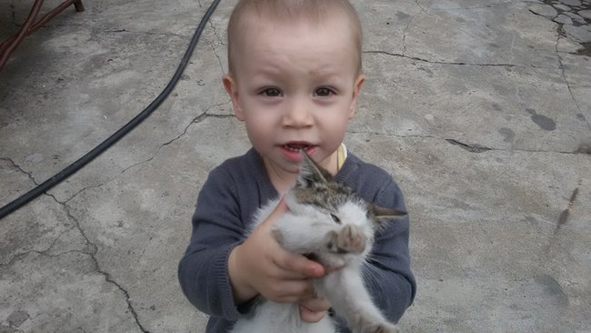 Dla Michalka w dniu drugich urodzinek