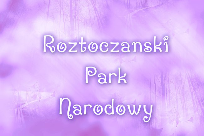 Roztoczański Park Narodowy .
