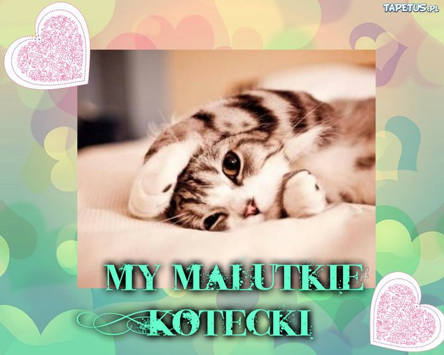 Dla Ciebie, sweet pieski