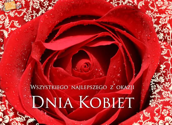 DZIEN KOBIET....