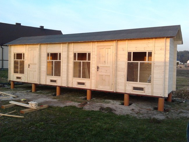 Gołębie- nasza pasja