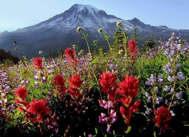 ***Zagrajcie mi przyjaciele...