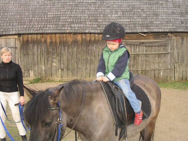 Moja przygoda z końmi