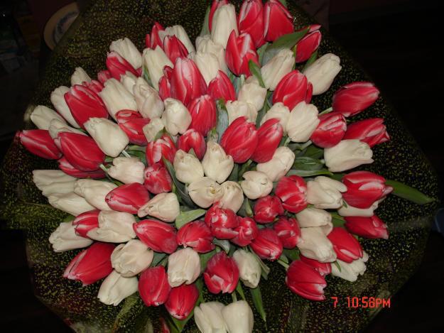 Stella Parchomenko-Sankowska