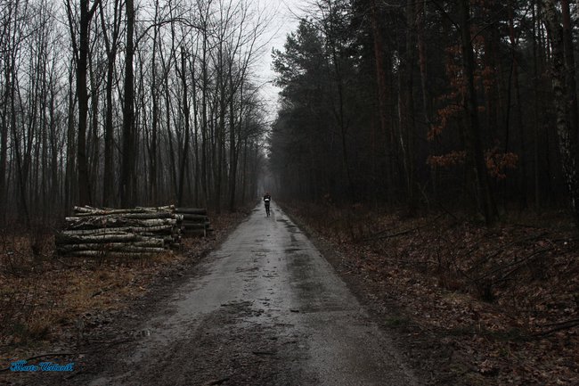 parkrun ósemka w deszczu