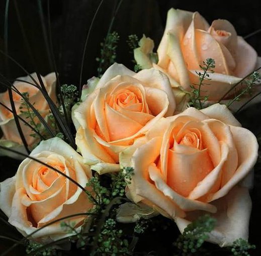 Wszystkiego najlepszego:))))