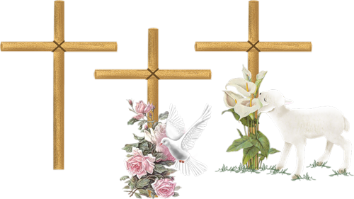 Znalazłeś mnie Panie