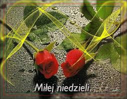 Radość przebudzenia widać wszędzie...