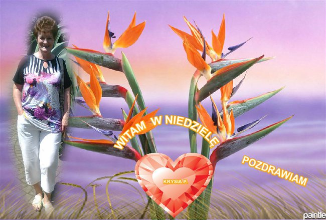 NA URODZINY DLA WANDY