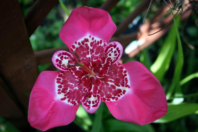 dla wszystkich znajomych