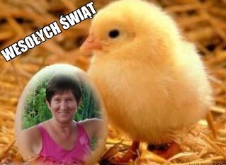 ZDROWYCH I WESOŁYCH ŚWIĄT