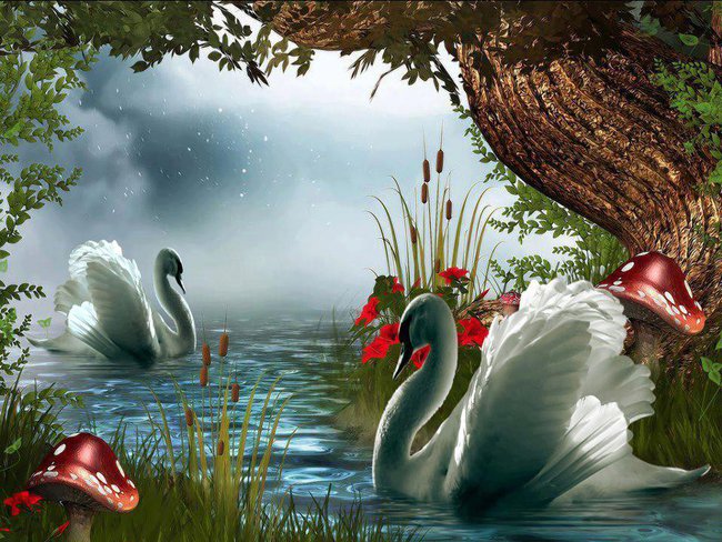 Tornero - powrócę...