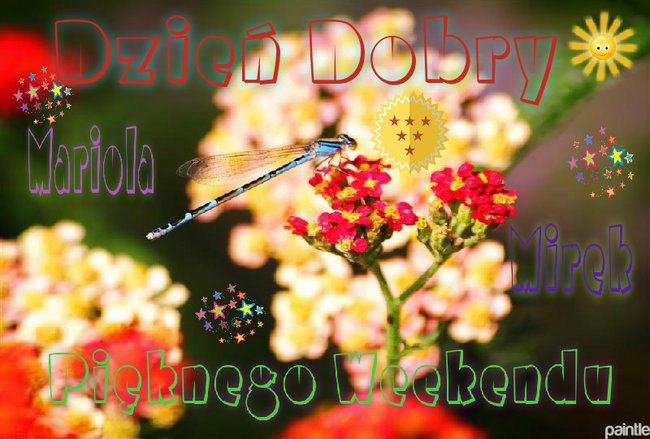 WSPANIAŁEGO WEEKENDU