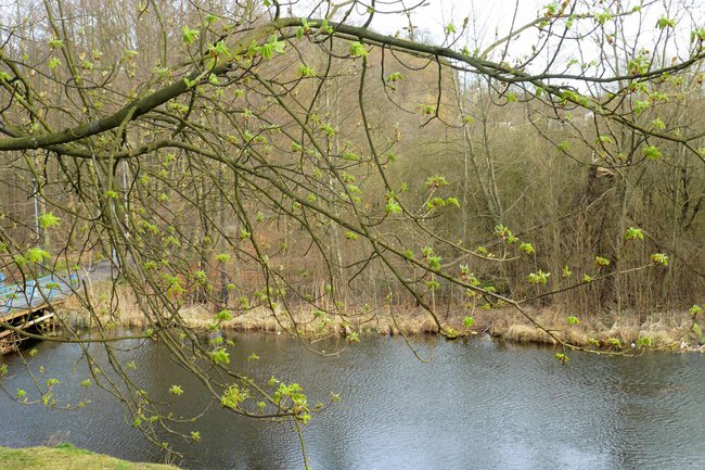 Złocieniecka wiosna 2015