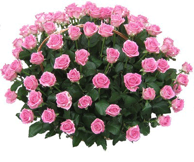 DLA PANA KRZYSIA I PANI BEATY